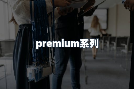 premium系列